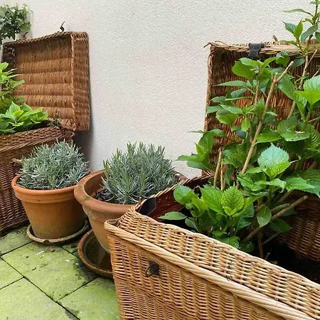 Paisible Et Au Centre * Mülhausen